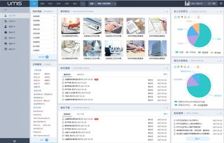 上海互聯(lián)網(wǎng)軟件集團(tuán) 以高端協(xié)同管理軟件與咨詢服務(wù)引領(lǐng)基礎(chǔ)軟件服務(wù)創(chuàng)新
